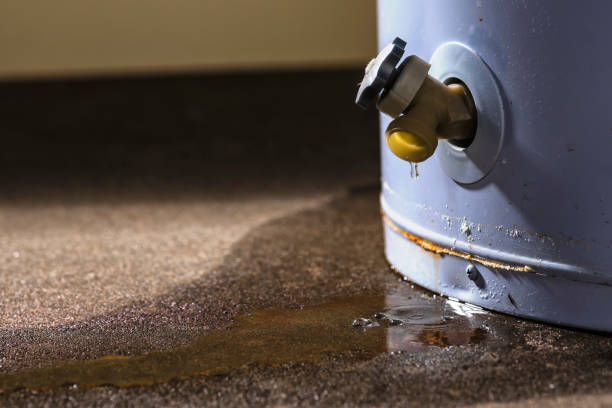 Best Local water damage restoration  in Altus, OK