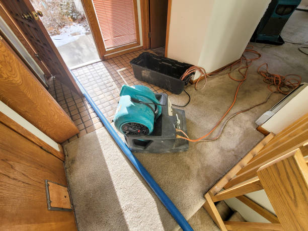 Best 24/7 water damage repair  in Altus, OK