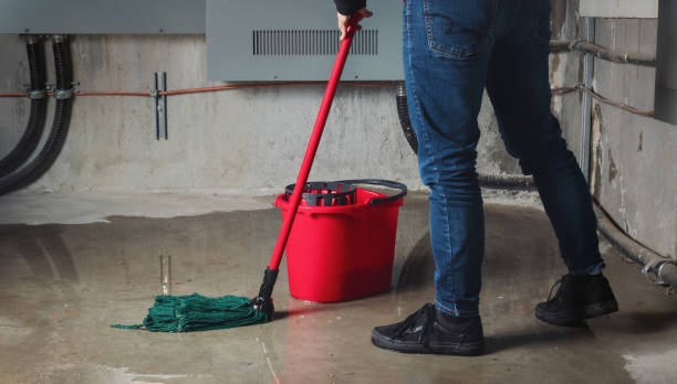 Best Water damage contractors near me  in Altus, OK