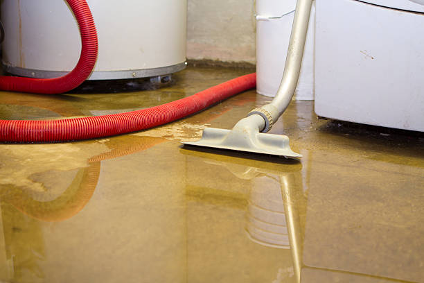 Best Flood restoration services  in Altus, OK