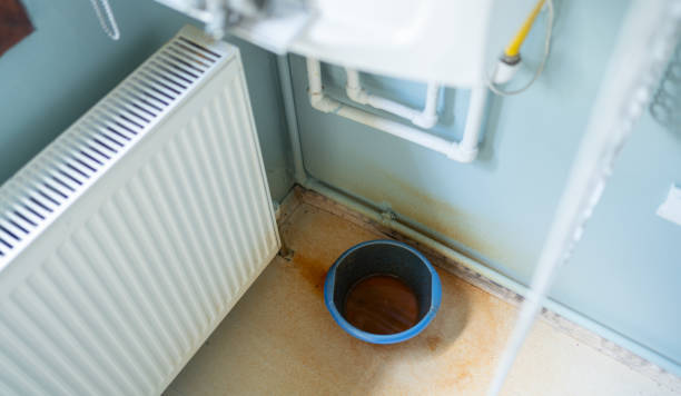 Best Carpet water damage restoration  in Altus, OK