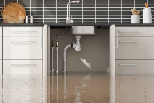 Best Flood damage cleanup  in Altus, OK